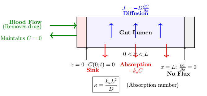 FIG1